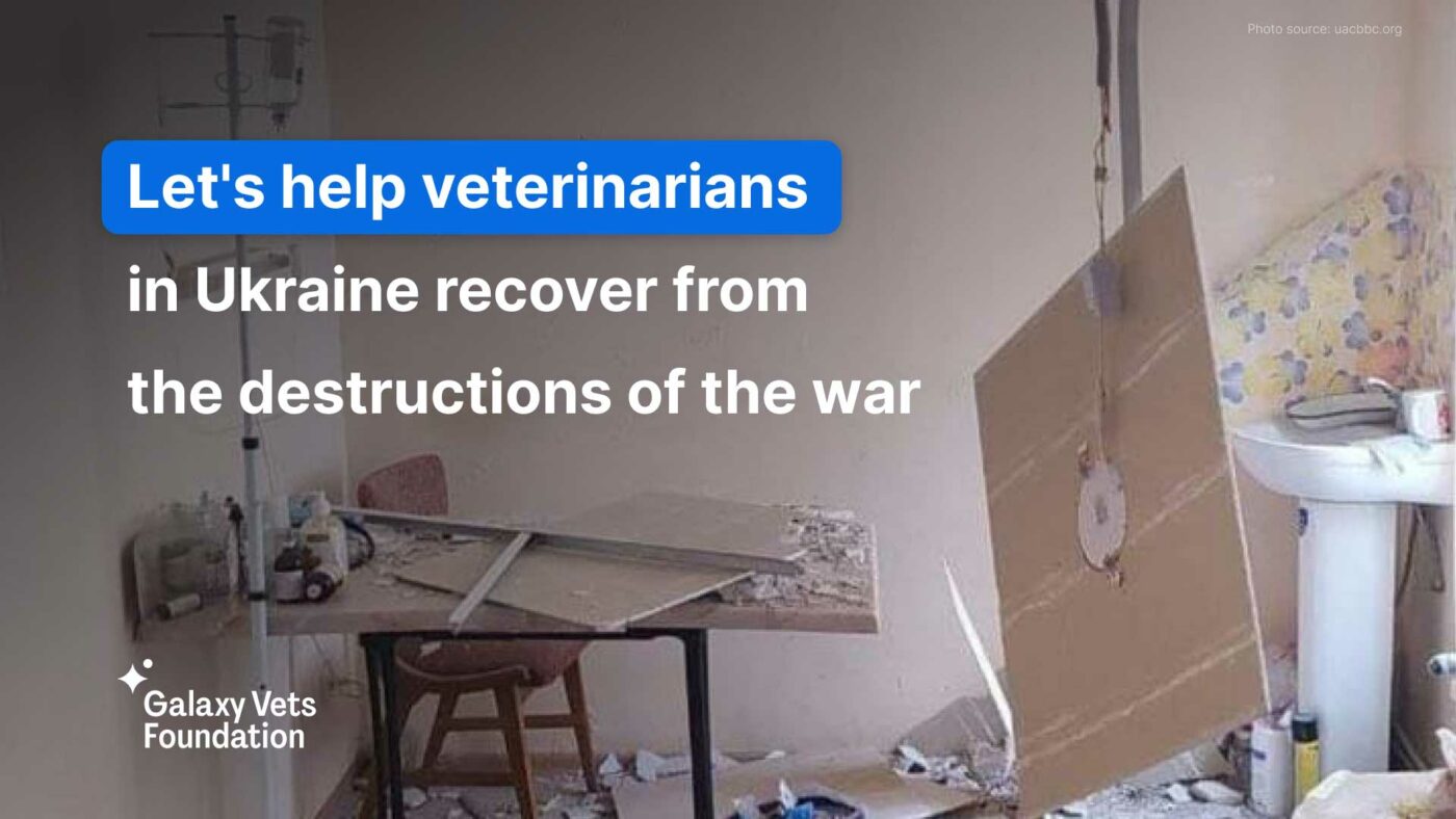 Veterinarians in Ukraine need help