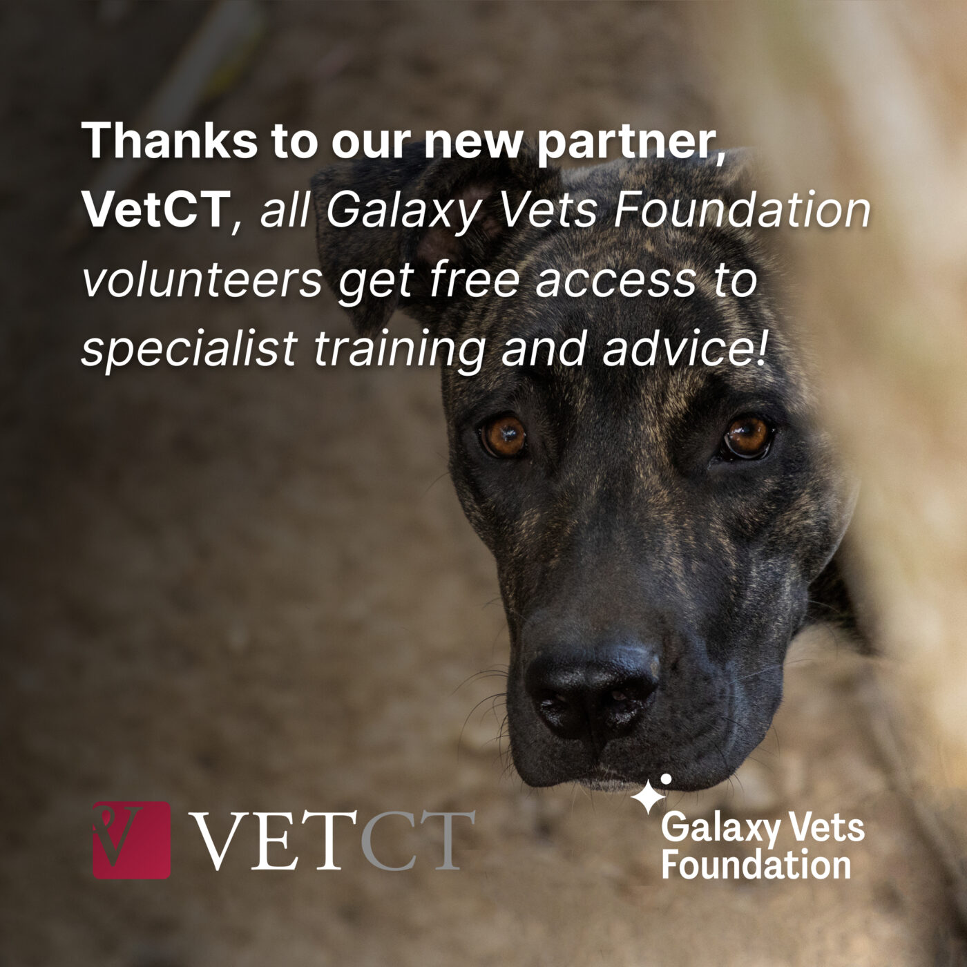 VetCT Joins GVF as a partner